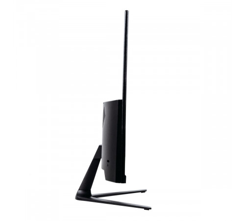Монитор 23.8" Lime R238L V2 Black (IPS, 1920x1080, VGA+HDMI +DC, 5 ms, 178°/178°, 250 cd/m, 1000:1, 100Hz, Flat)