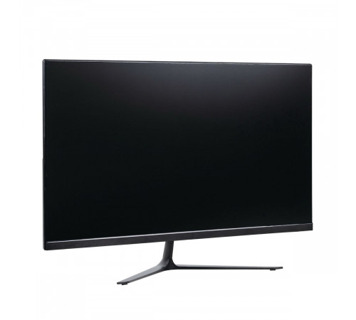 Монитор 23.8" Lime R238L V2 Black (IPS, 1920x1080, VGA+HDMI +DC, 5 ms, 178°/178°, 250 cd/m, 1000:1, 100Hz, Flat)