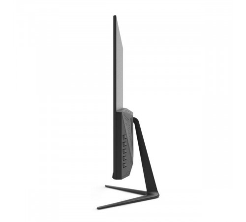 Монитор 23.8" AIWA MF2403-V V2 Black (IPS, 1920x1080, D-sub+HDMI, 5 ms, 178°/178°, 250 cd/m, 1000:1, 100Hz, внешн. БП)
