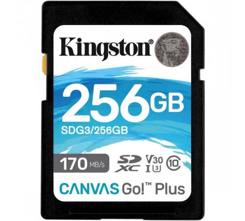 Карта памяти Kingston 256G SDXC Go Plus 170R V30  SDG3/256GB