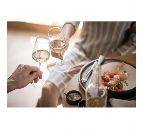 Бокал для вина 487 мл хр. стекло VerVino (Verbelle) d 8,4 см h23,8 см Schott Zwiesel [6]