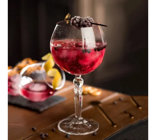 Бокал для коктейля 580 мл хр. стекло Gin Tonic Alkemist RCR [6]