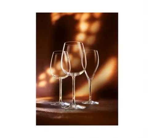 Бокал для вина 350 мл хр. стекло "Энолог" d 8 см h20,2 см Chef&Sommelier [6]