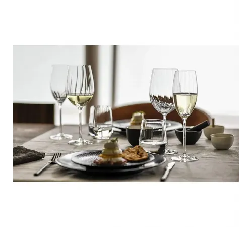 Бокал для вина 561 мл хр. стекло Prizma (Wineshine) d 9 см h24,2 см Schott Zwiesel [6]