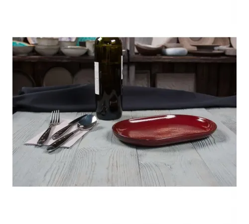 Блюдо овальное 25*16*2,4 см Evolution Dark Red P.L. Proff Cuisine [1]