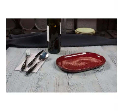 Блюдо овальное 25*16*2,4 см Evolution Dark Red P.L. Proff Cuisine [1]