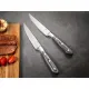 Нож для стейка 26 см "Garwin" Pakka Wood P.L. Proff Cuisine