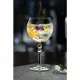 Бокал для коктейля 580 мл хр. стекло Gin Tonic Alkemist RCR [6]
