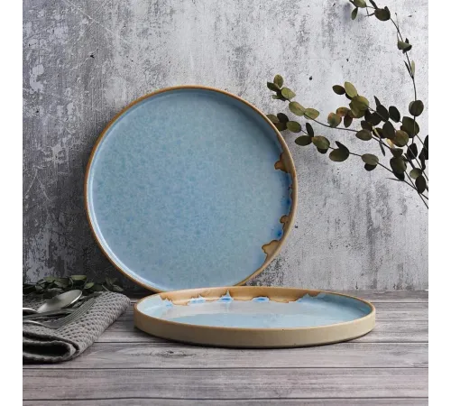 Тарелка с бортом d 26 см h2,2 см 600 мл Blue Panasia P.L. Proff Cuisine [1]