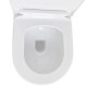 SET AQUATEK ПОЛАРИС (рама AQUATEK Standard INS-0000012 + унитаз ПОЛАРИС AQ0700-01 с тонким сиденьем soft-close + крепеж KKI-0000002 + панель KDI-0000010)