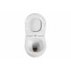 Унитаз подвесной безободковый Aquatek ЕВРОПА AQ1900T-00 490*360*320 с сиденьем Soft Close