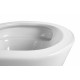 SET AQUATEK ВЕГА T PNS002 (рама AQUATEK INSP-0000001 с клавишей PNS-0000002 и крепежом KKI-0000002 + унитаз-компакт AQ1904T-00 TORNADO)
