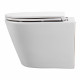 SET AQUATEK ВЕГА T PNS002 (рама AQUATEK INSP-0000001 с клавишей PNS-0000002 и крепежом KKI-0000002 + унитаз-компакт AQ1904T-00 TORNADO)