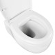 SET AQUATEK АЛЬТАИР-016 4в1 (рама AQUATEK Standard INS-0000012 + крепеж KKI-0000002 + клавиша KDI-0000016 + унитаз АЛЬТАИР AQ1980-00 с тонким сиденьем soft-close)