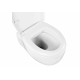 Унитаз подвесной безободковый Aquatek АЛЬТАИР AQ1980-00 530*395*340 с сиденьем Soft Close
