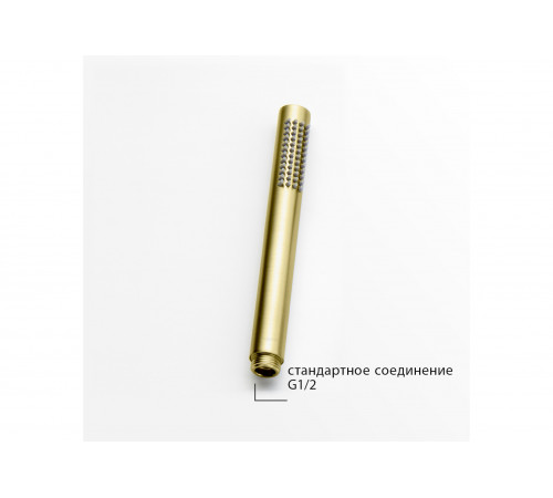 Ручной душ AQUATEK, шлиф.золото AQ2002BG Европа
