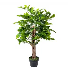 Фикус Бенжамина, 90 см