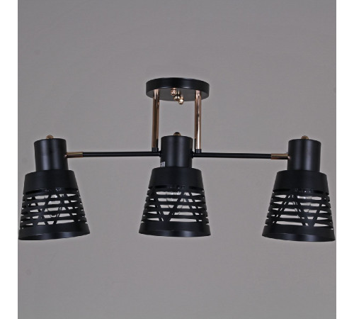 Потолочная люстра Reluce 06074-3.3-03 BK+FG