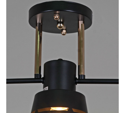 Потолочная люстра Reluce 06074-3.3-03 BK+FG