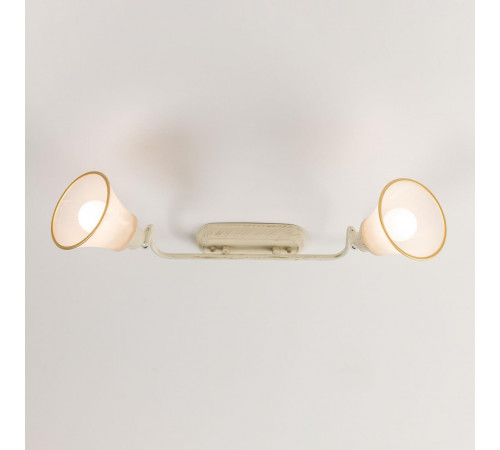 Спот Citilux Прованс CL511524