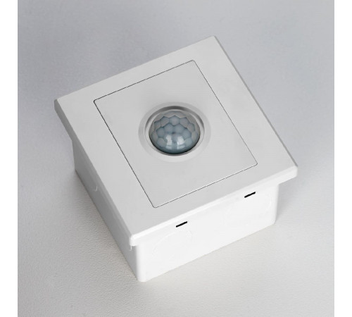 Датчик движения Citilux Skally CLR005KS0