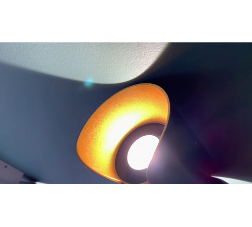 Уличный настенный светодиодный светильник Odeon Light Krista 3886/6BG