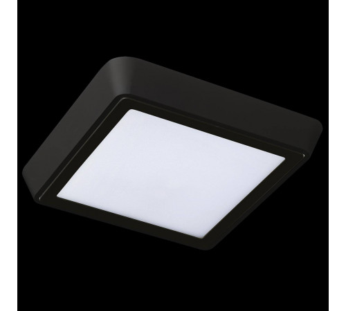 Уличный светильник Lightstar 216874