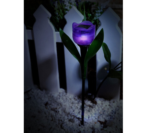 Светильник на солнечных батареях (UL-00004278) Uniel Promo USL-C-453/PT305 Purple Tulip
