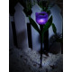Светильник на солнечных батареях (UL-00004278) Uniel Promo USL-C-453/PT305 Purple Tulip