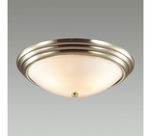 Настенно-потолочный светильник Lumion Vintage 5262/3C