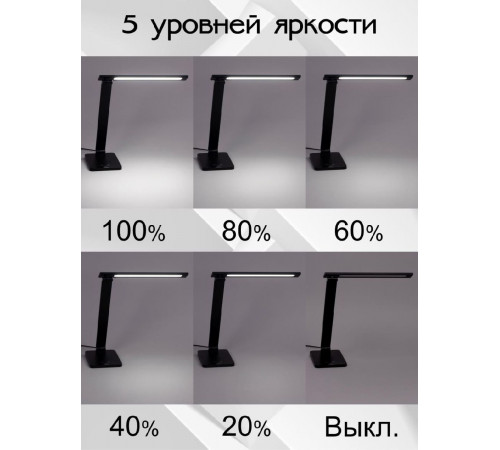 Настольная лампа Citilux Ньютон CL803081