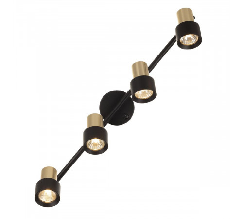 Спот Citilux Sat CL505641