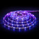 Светодиодная лента Elektrostandard 24V 14,4W 60Led 5050+5050 IP20 MIX RGB/теплый белый, 5м 4690389172250