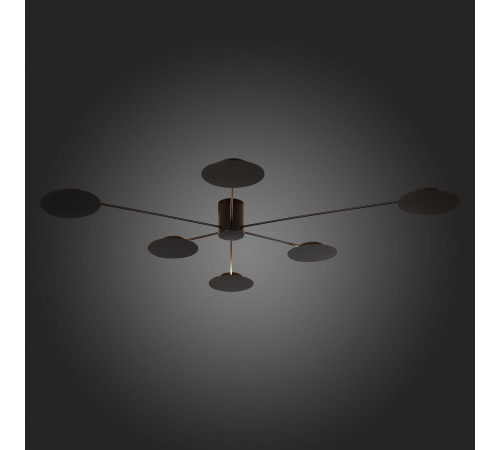 Потолочная люстра ST Luce Tondo SL6006.402.06