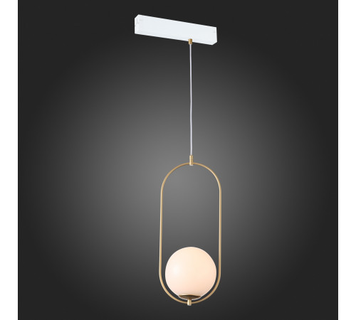 Трековый светильник ST Luce Skyline 220 ST500.203.01