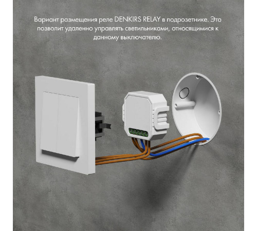 Двухканальное Wi-Fi реле-диммер Denkirs Relay RL1004-DM/1