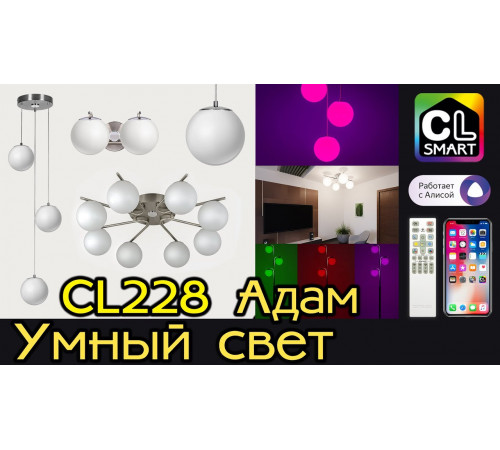 Торшер Citilux Адам Смарт CL228A931