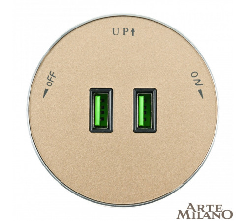 Трековая розетка Arte Milano Am-track-sockets 380011TS/USBx2 Gold