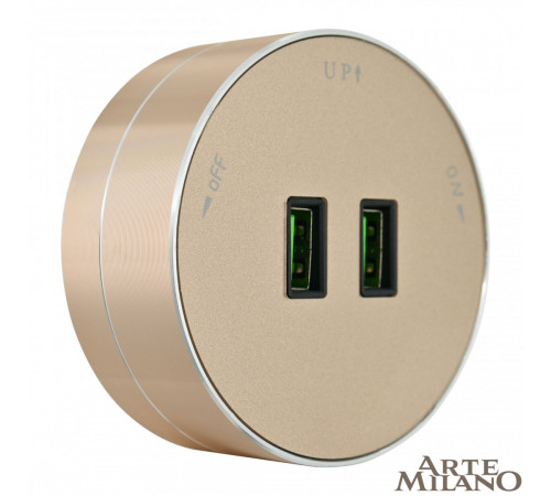 Трековая розетка Arte Milano Am-track-sockets 380011TS/USBx2 Gold