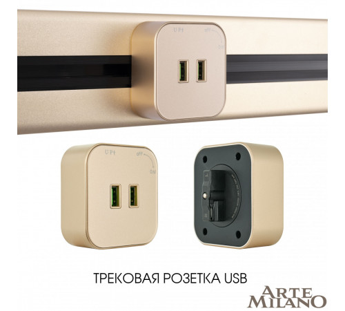 Трековая розетка Arte Milano Am-track-sockets 380022TS/USBx2 Gold