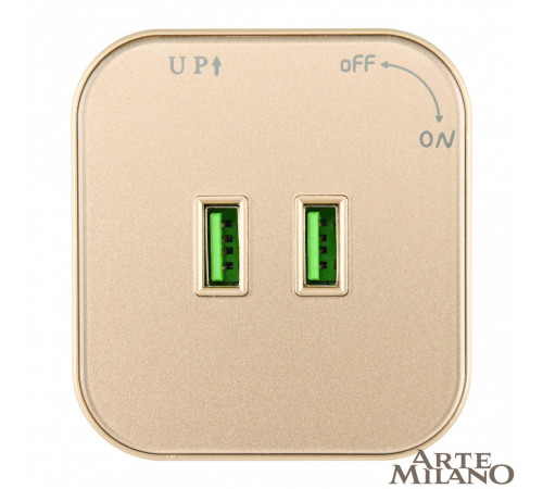 Трековая розетка Arte Milano Am-track-sockets 380022TS/USBx2 Gold