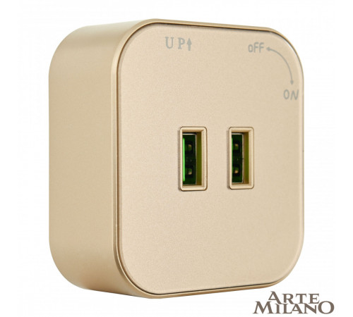 Трековая розетка Arte Milano Am-track-sockets 380022TS/USBx2 Gold