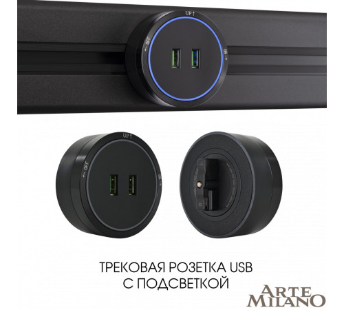 Трековая розетка Arte Milano Am-track-sockets 380066TS LED/USBx2 Black