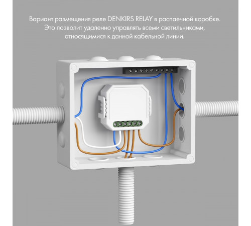 Двухканальное Wi-Fi реле-диммер Denkirs Relay RL1004-DM/1