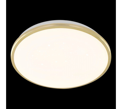 Настенно-потолочный светильник Citilux Луна CL702302Wz