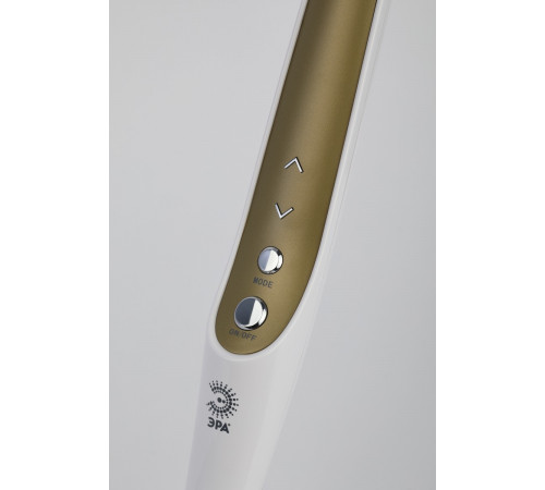 Настольная лампа Эра NLED-496-12W-G Б0052769