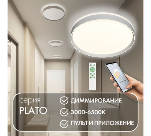 Потолочный светильник Denkirs Plato DK6511-WH/1