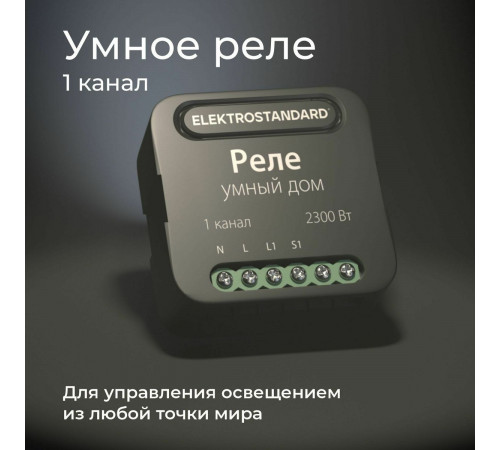 Умное одноканальное реле Elektrostandard 4690389185069 a059324