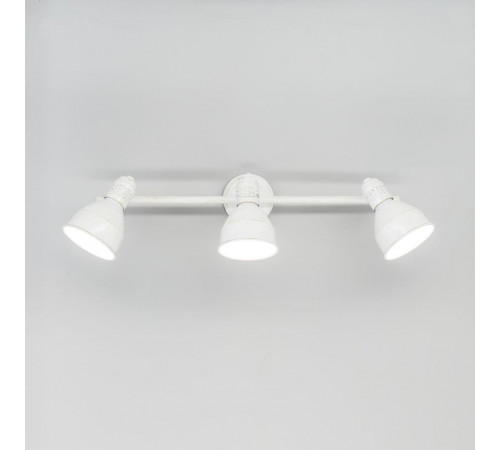 Спот Citilux Опус CL502533