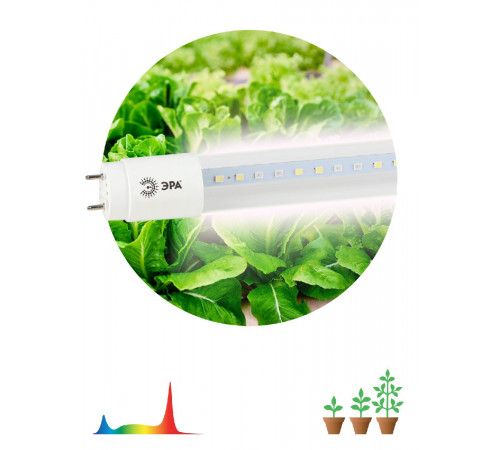 Фитолампа для растений светодиодная Эра G13 18W 1200K FITO-18W-Ra90-Т8-G13-NL Б0042987